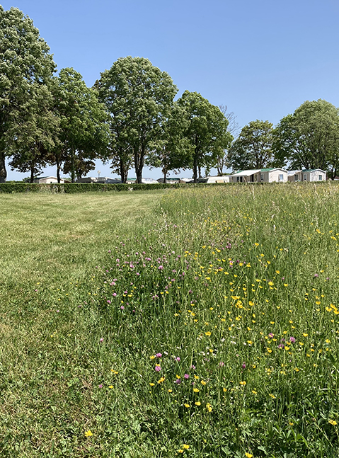 Contacter et rejoignez le camping situé à 500 mètres des thermes.