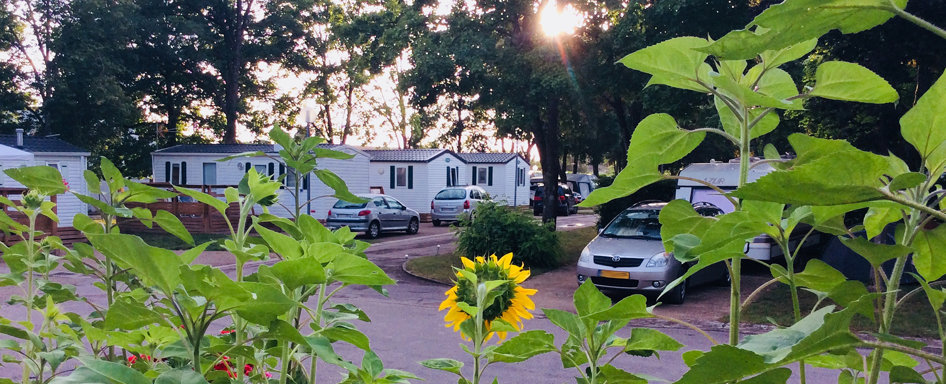 Genießen Sie die Ruhe und Beschaulichkeit des Campingplatzes Contrexéville, der in einer grünen Oase direkt am Waldrand liegt.