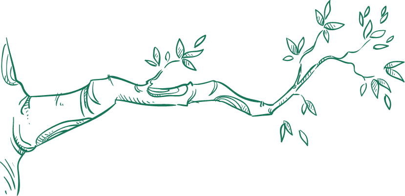 Illustration tree branch